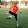 sasceko hl
